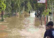 Pemuda Sumurgung Tuban Kritik Keras Proyek Bronjong yang Dinilai Kurang Berdampak