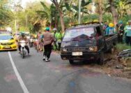 Pekerja SIG Tuban Tewas Tertabrak Pickup yang Oleng Hindari Kucing
