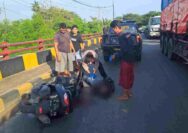 Tabrak Truk Misterius di Tuban, Seorang Pengendara Meninggal Dunia