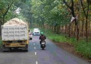 Polisi Ancam Sikat Truk Tambang Nakal yang Merajalela di Tuban