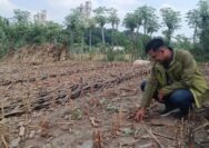 Soal Debu yang Dikeluhkan Warga, PT SBI Tuban Salahkan Cuaca