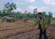 Soal Debu PT SBI Salahkan Cuaca, DLHP Tuban Minta Perusahaan Taat Amdal