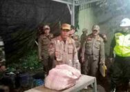 Diduga Bocor, Razia Miras di Tuban Diwarnai Aksi Kucing-kucingan