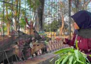 Taman Kapur Tuban Jadi Jujukan Edukasi Satwa Murah Meriah