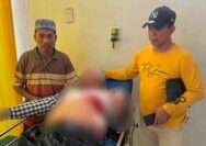 Sakit Hati Rumah Tangganya Dibahas, Lansia di Tuban Tikam Perut Besan