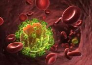 Pola Penularan HIV di Tuban Bergeser, Maraknya Praktik Open BO Jadi Pemicu Baru