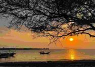 Pesona Pantai Sowan Tuban, Perpaduan Hutan Rindang dan Laut Biru