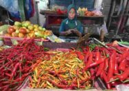 Hasil Panen dan Acara Warga Picu Fluktuasi Bahan Pokok di Tuban